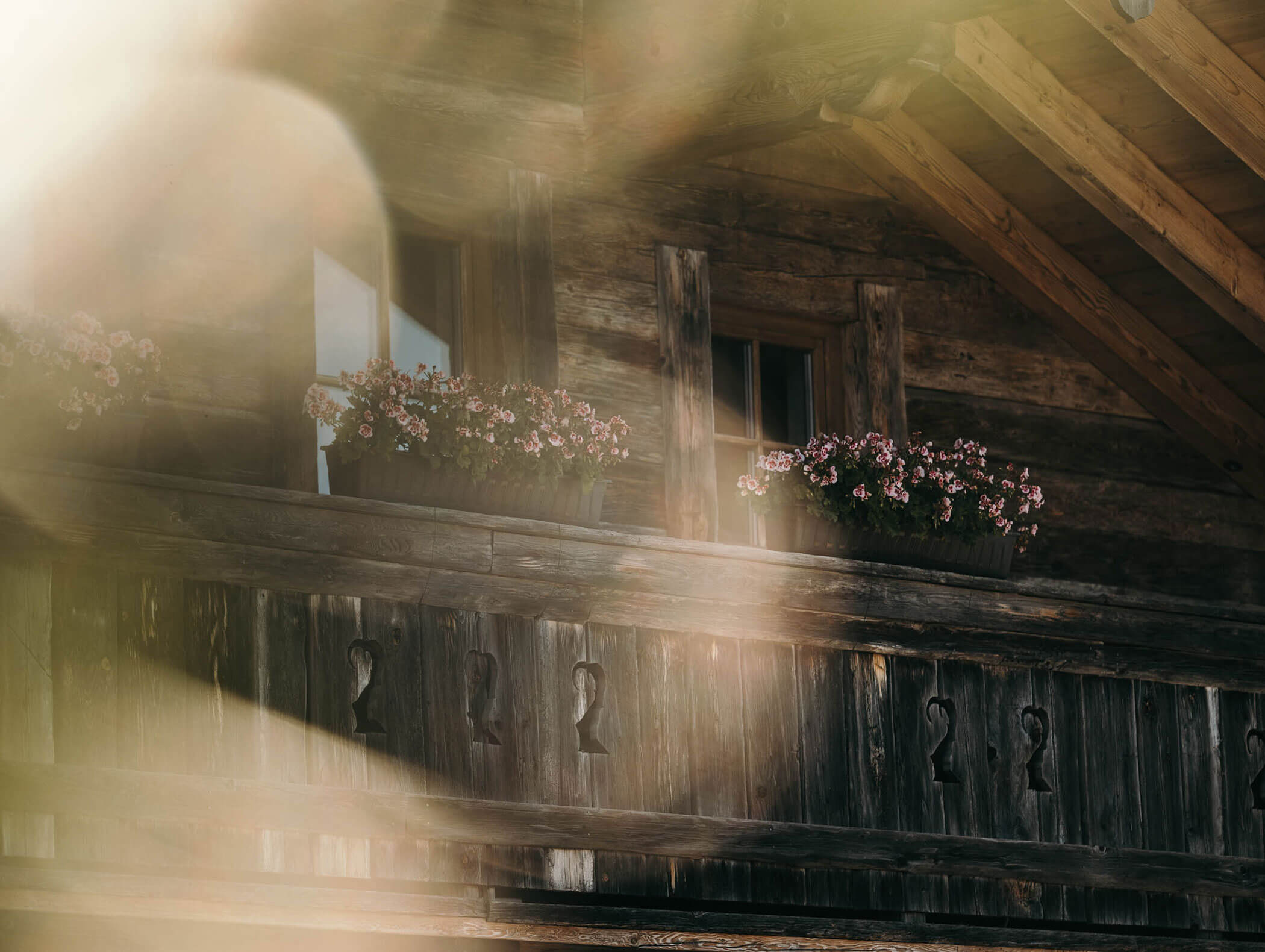 Flowers on the balcony