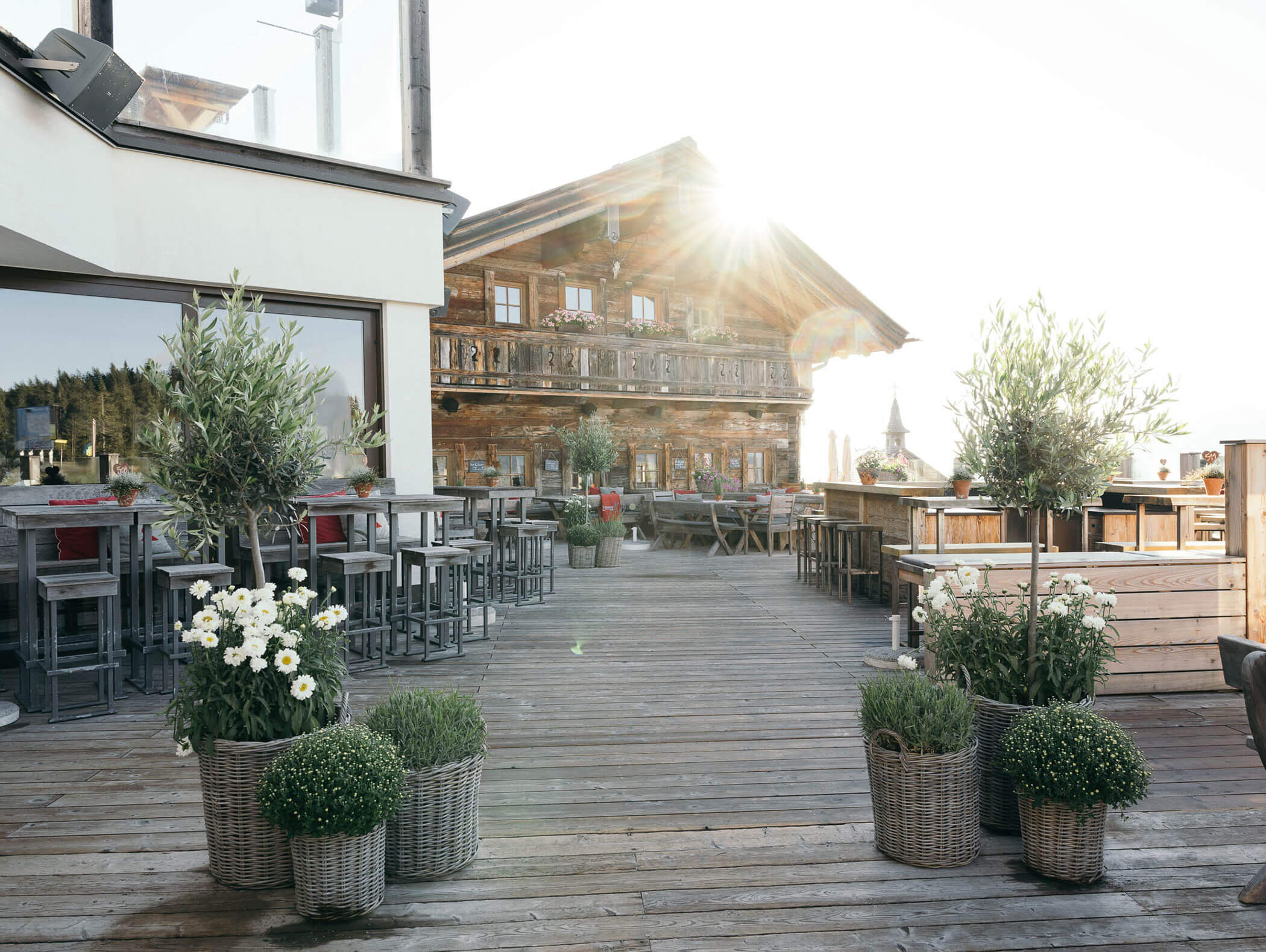 Morning - Steinbock Alm